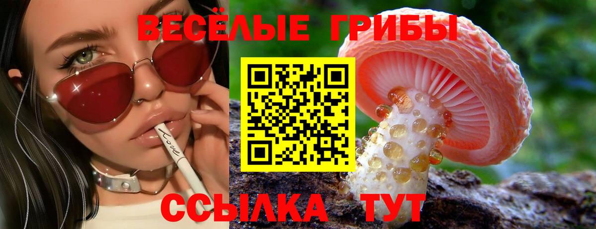 Псилоцибиновые грибы Psilocybine cubensis  Вход с VPN  Спасск-Дальний 