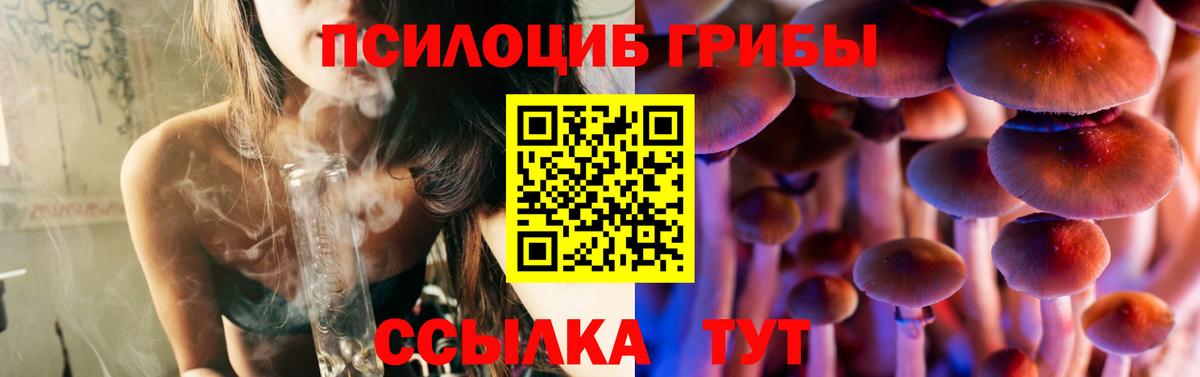 Псилоцибиновые грибы мухоморы Спасск-Дальний